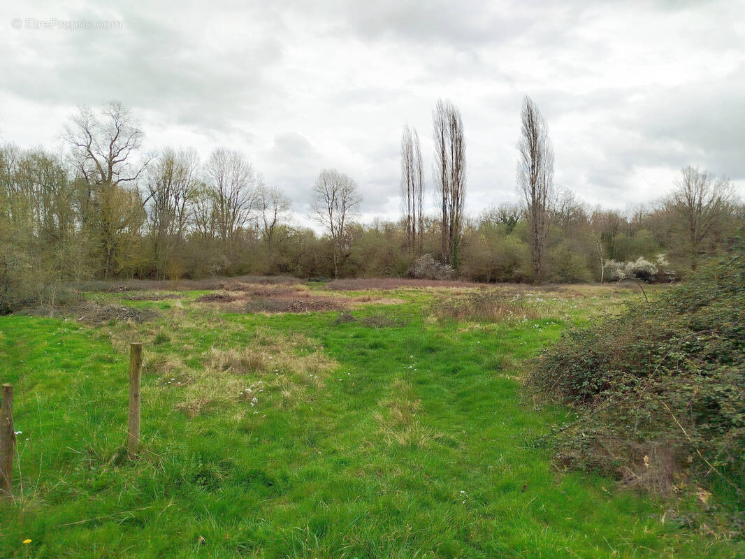 Terrain à VILLEFRANCHE-DE-LONCHAT