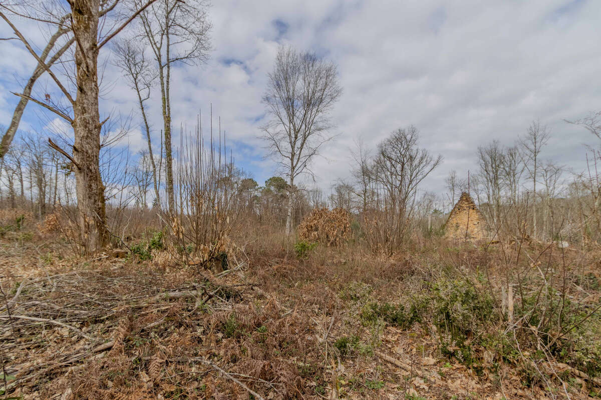 Terrain à CARSAC-AILLAC