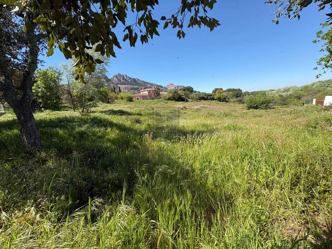 Terrain à ROQUEBRUNE-SUR-ARGENS