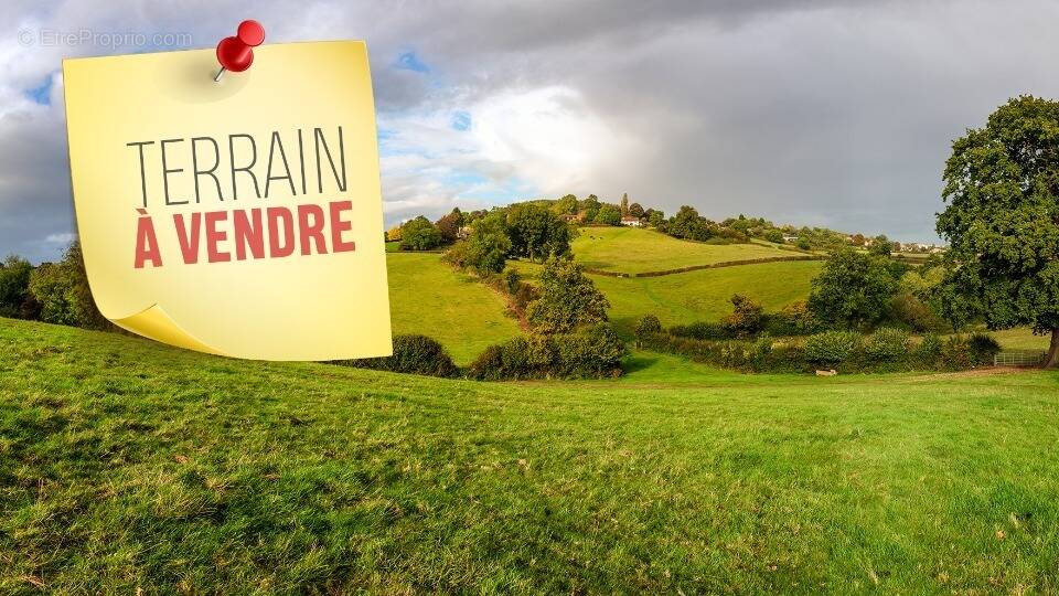 Terrain à LES VENTES