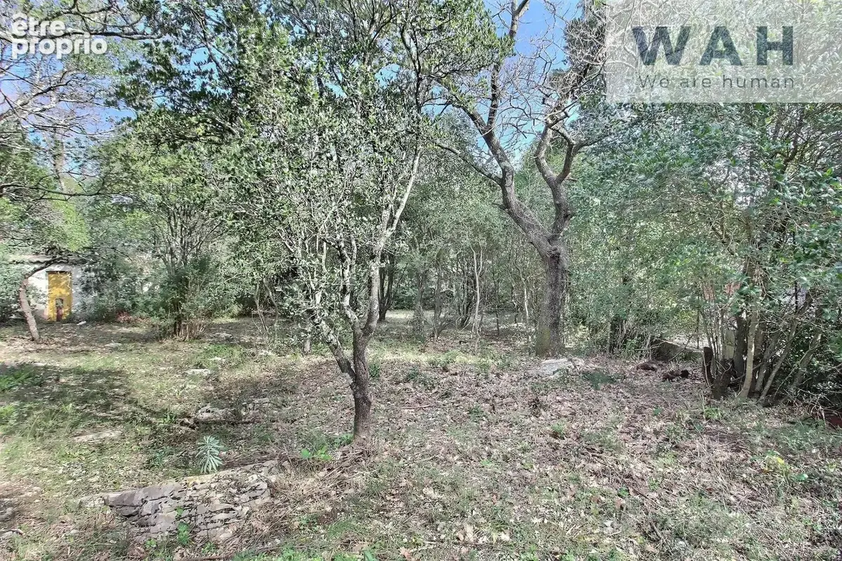 Vente terrain constructible 700 m2 viabilise - viols-le-fort - photo 2