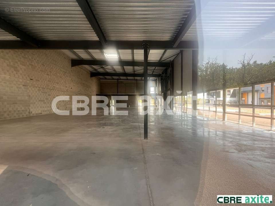 655 m² à Tignieu-Jameyzieu  - photo 3