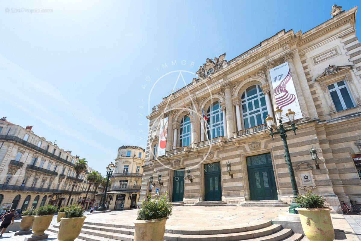 Appartement à MONTPELLIER