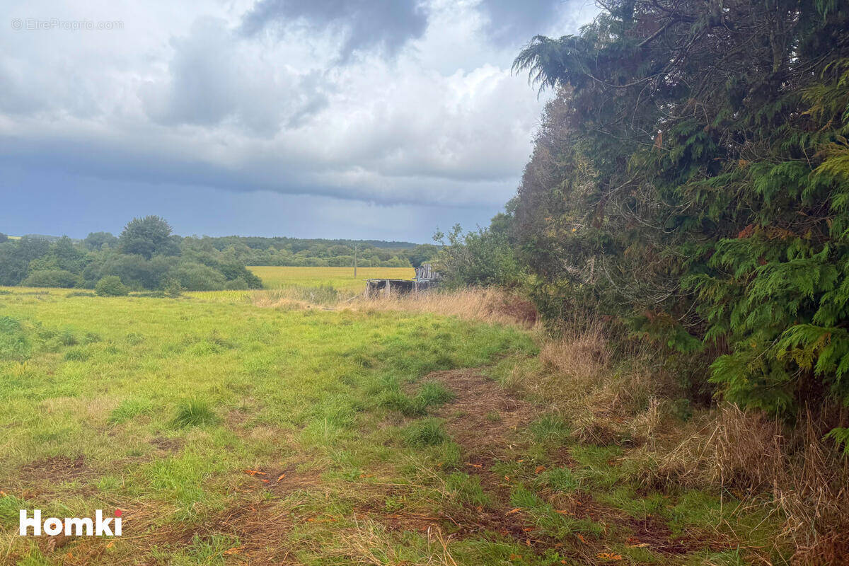 Terrain à LANGONNET
