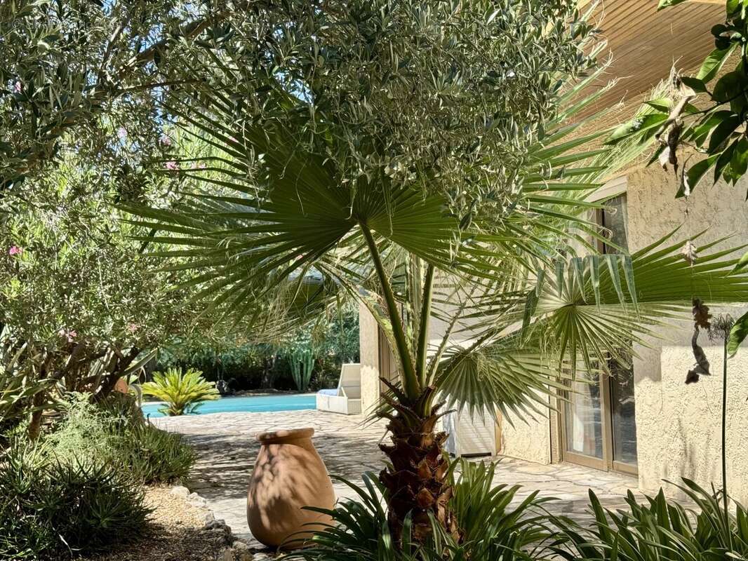 Mougins vente villa individuelle avec piscine - photo 7