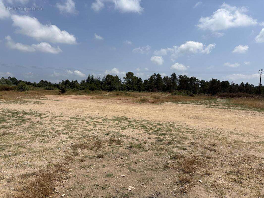 Terrain agricole et naturel - photo 4