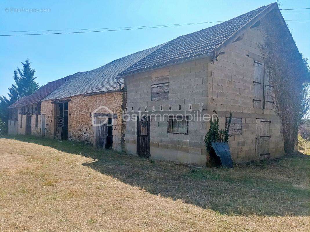 Maison 2 chambres - batiments annexes - terrain  7095 m2 - photo 17