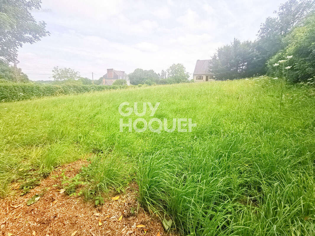 Terrain à CAULNES