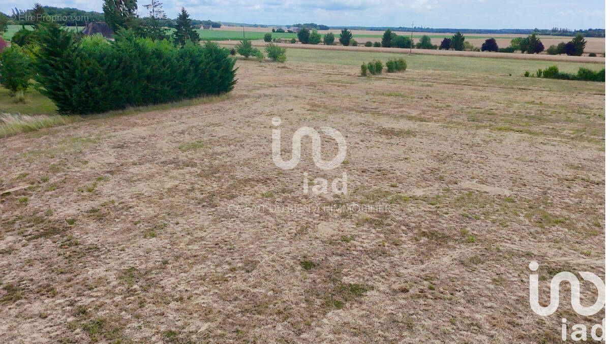 Photo 1 - Terrain à LA CHAPELLE-SUR-AVEYRON