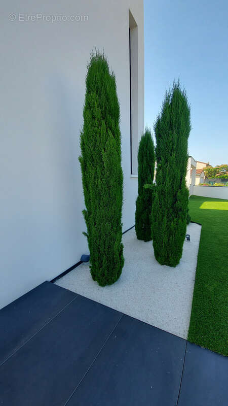 Maison à PONT-DU-CHATEAU