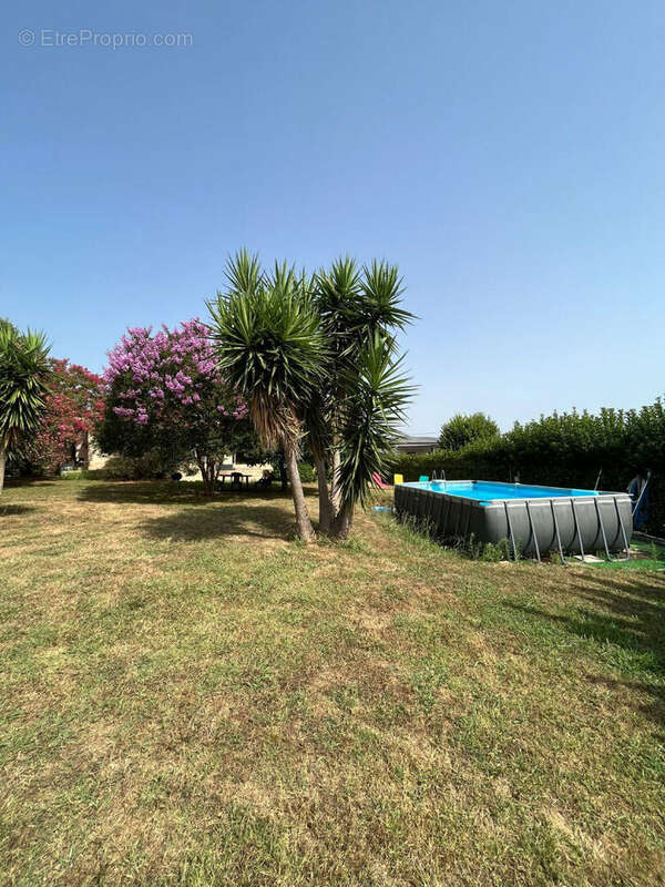 Maison Castellare Di Casinca 4 pièces 166 m2 avec terrain 1930 m2 - photo 6