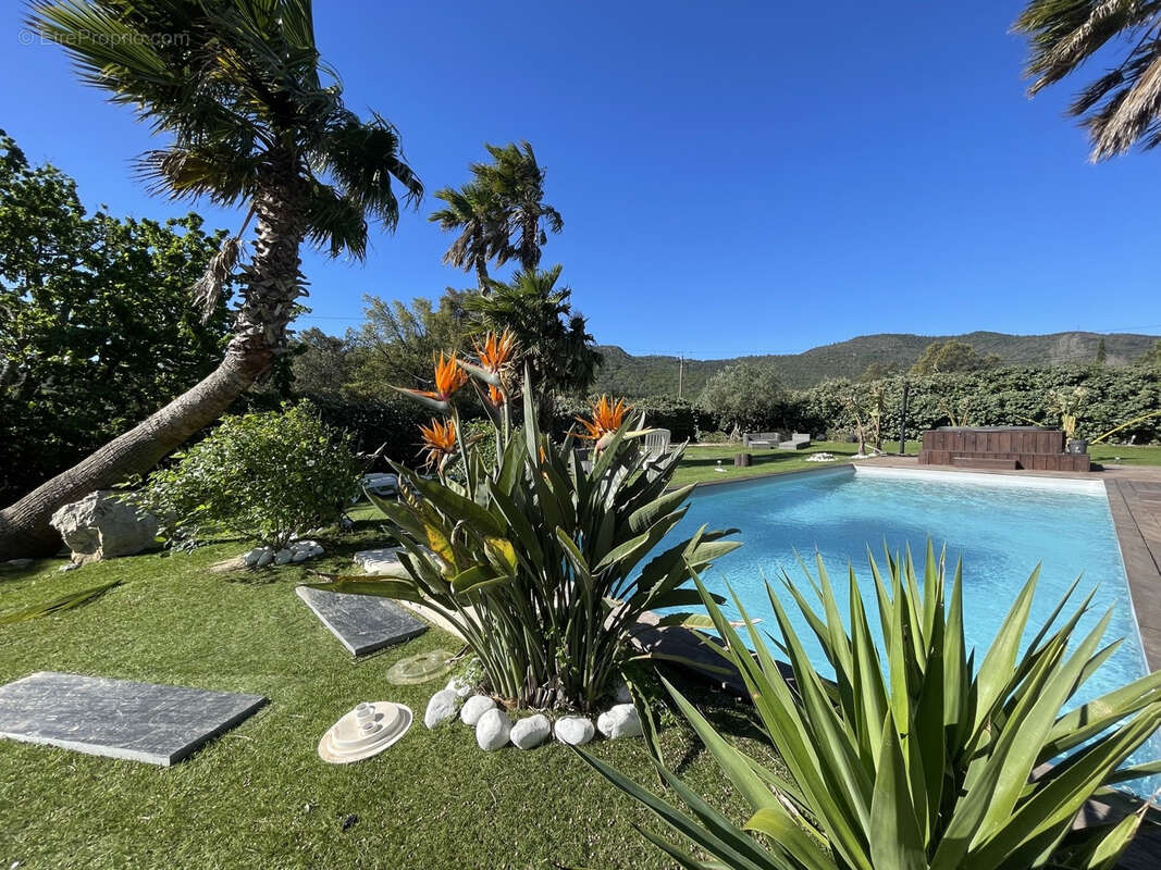 Maison à PLAN-DE-LA-TOUR