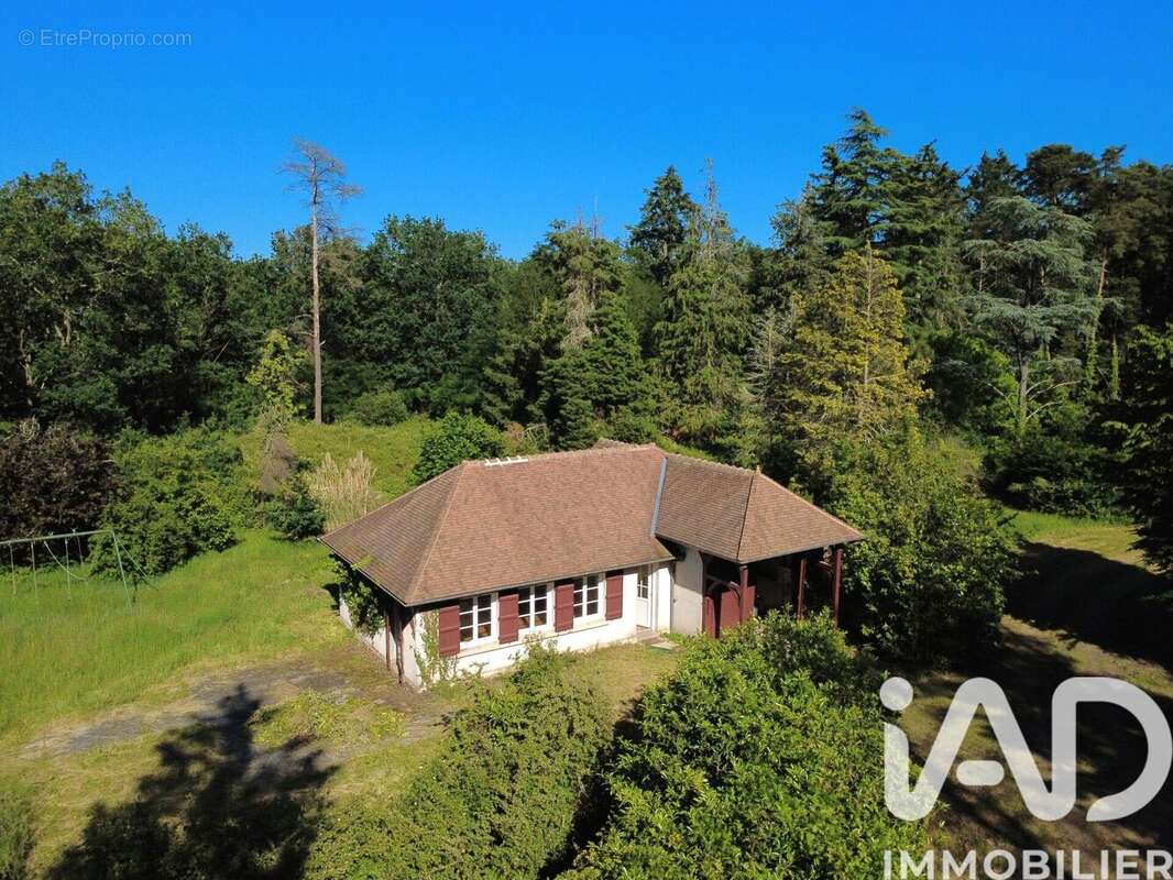 Photo 6 - Maison à MENNETOU-SUR-CHER