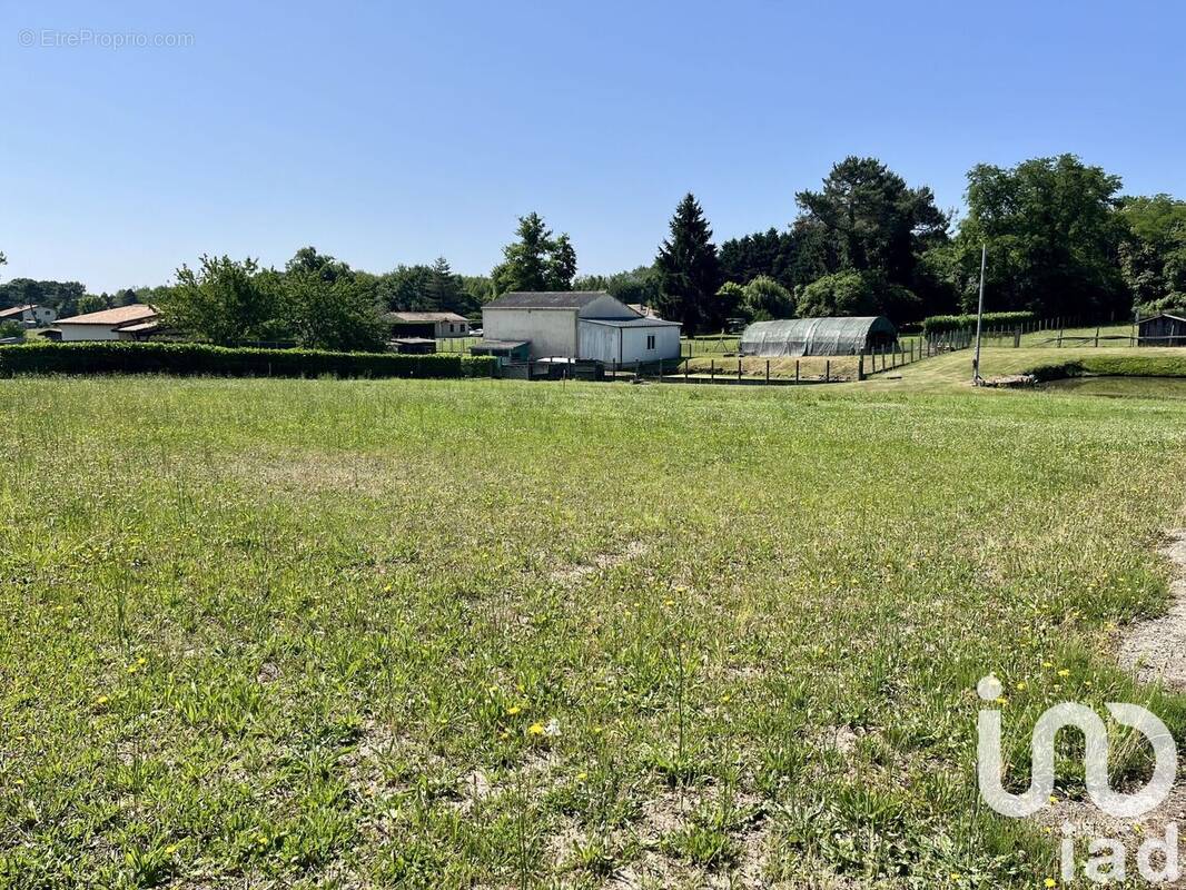 Photo 1 - Terrain à BAZAS