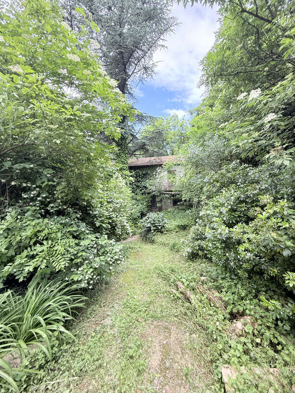 À Vendre   Mas avec Piscine, Écuries et Deux Bâtisses sur Terrain Naturel - photo 29