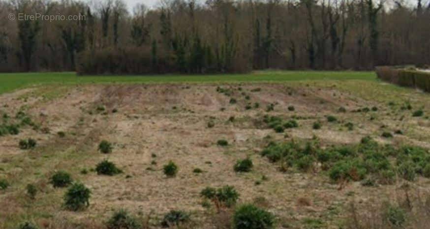 Terrain à SAINT-LYE