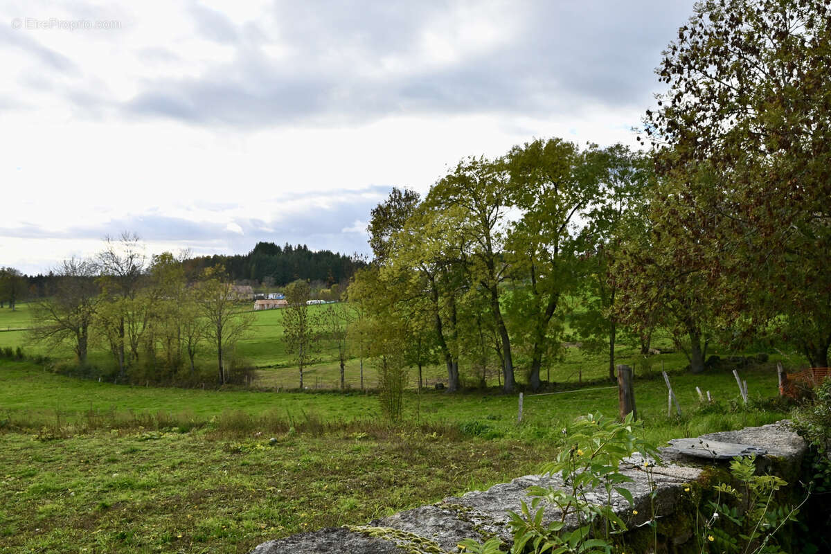 Maison à SAINT-HILAIRE-CUSSON-LA-VALMITTE