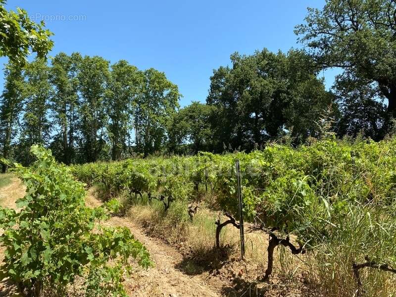 Dpt Gard (30), à vendre dans le Gard, propriété viticole en AOP Côtes du Rhône sur 25 hectares avec Château du XVème siècle - photo 42