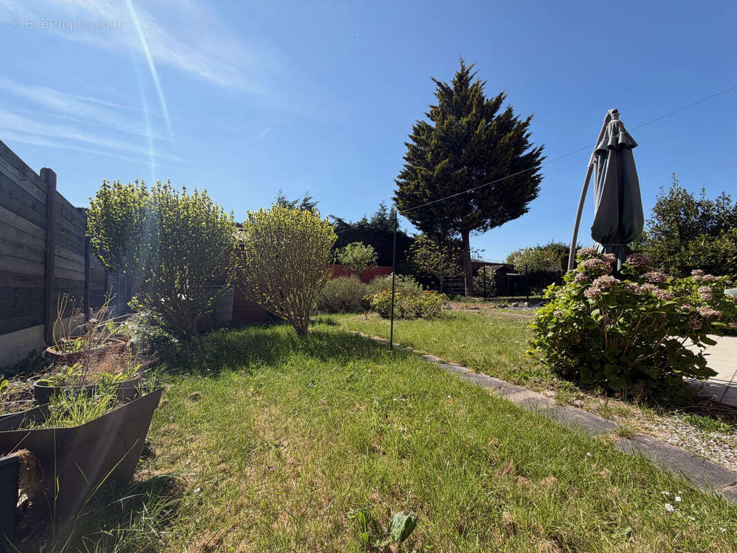 Photo 4 - Maison à BETHUNE
