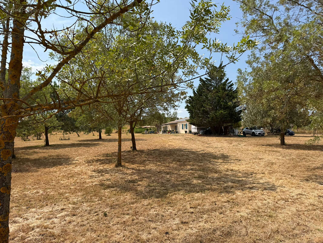 Maison de plain-pied avec piscine sur 3,65 hectares de terrain clos et arboré - photo 10