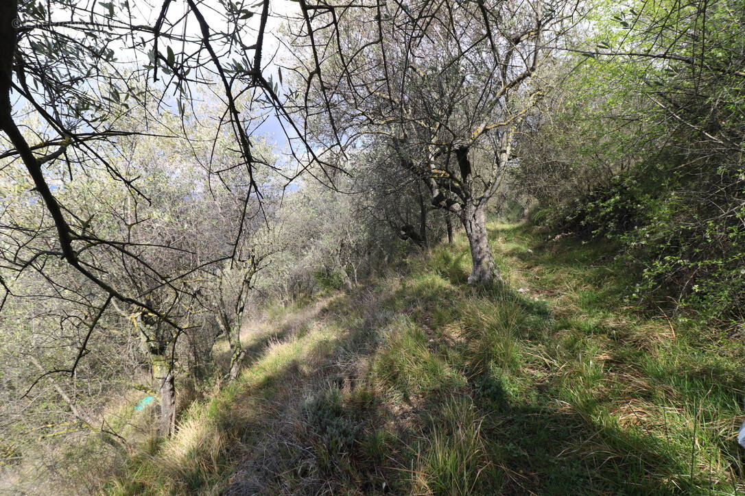 Terrain à PEILLE