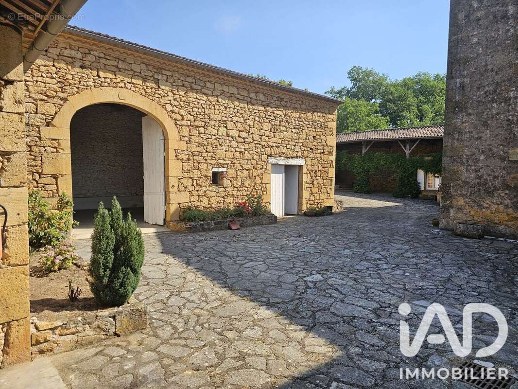 294 m² à Condezaygues  - photo 9