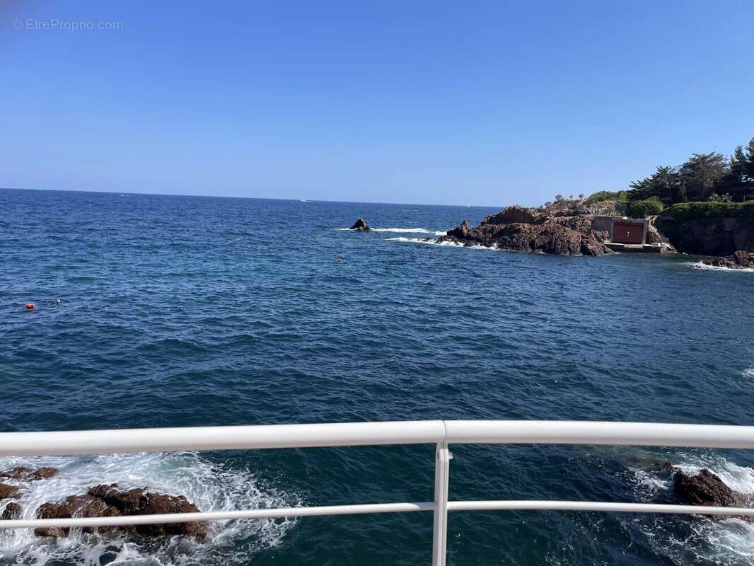 Studio pied-dans-l'eau vue mer panoramique - photo 17