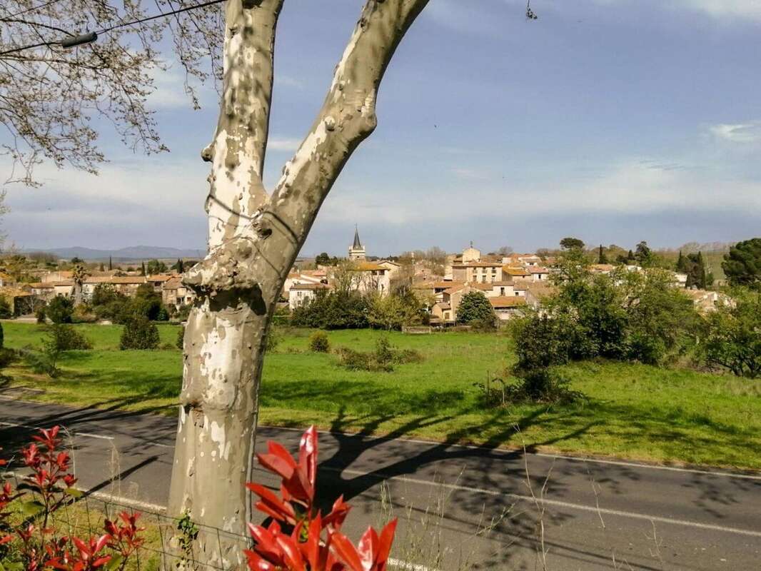 Photo 8 - Maison à NIZAS