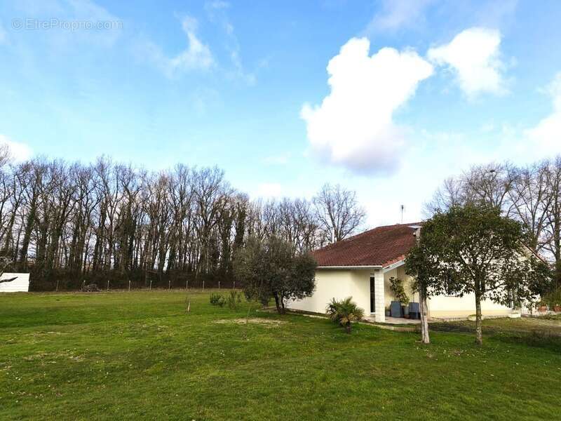 Maison à vendre 4 pièces AIRE SUR L'ADOUR (40) - photo 19