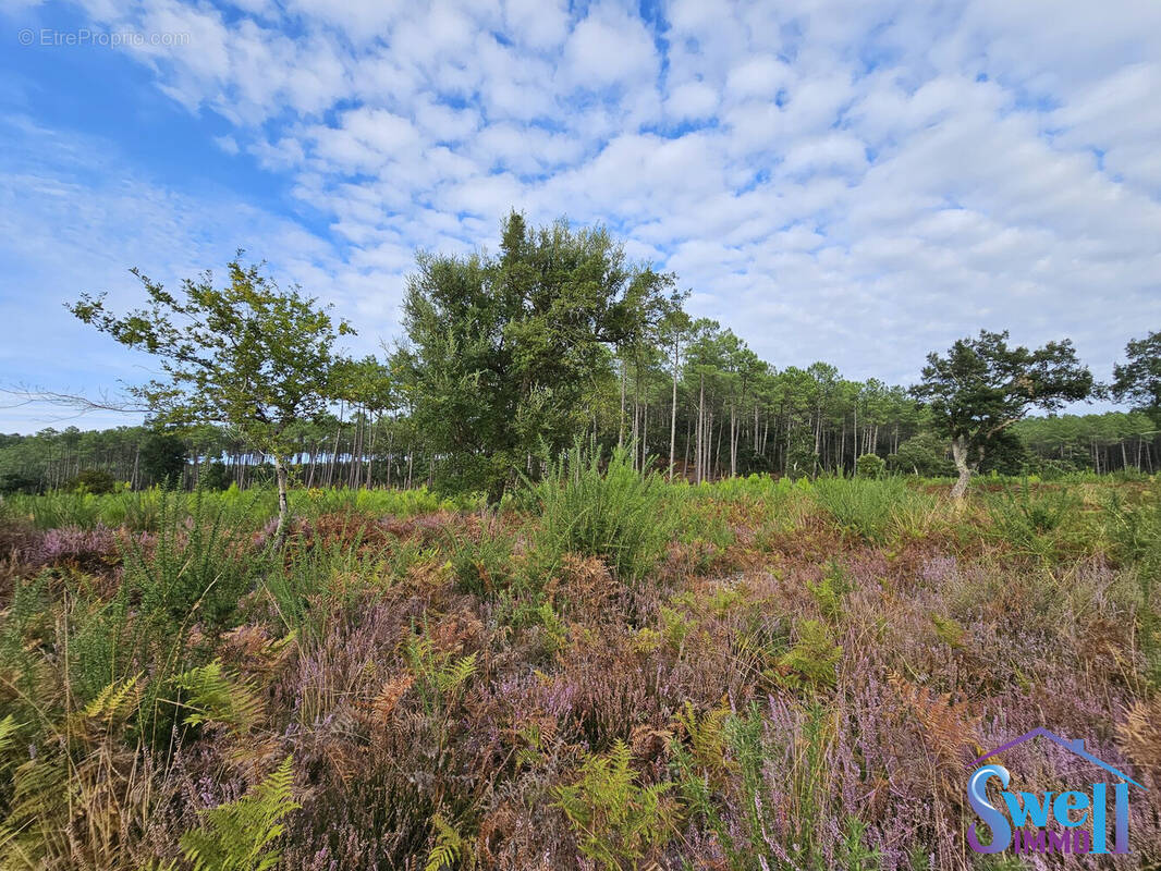 Terrain à MOLIETS-ET-MAA