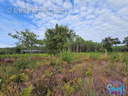 Terrain à MOLIETS-ET-MAA