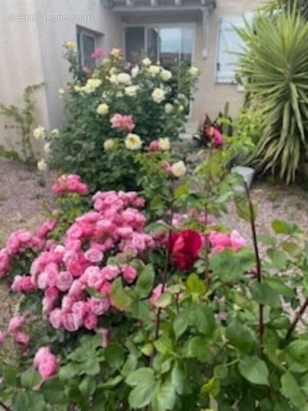 Maison à RIEUX-MINERVOIS