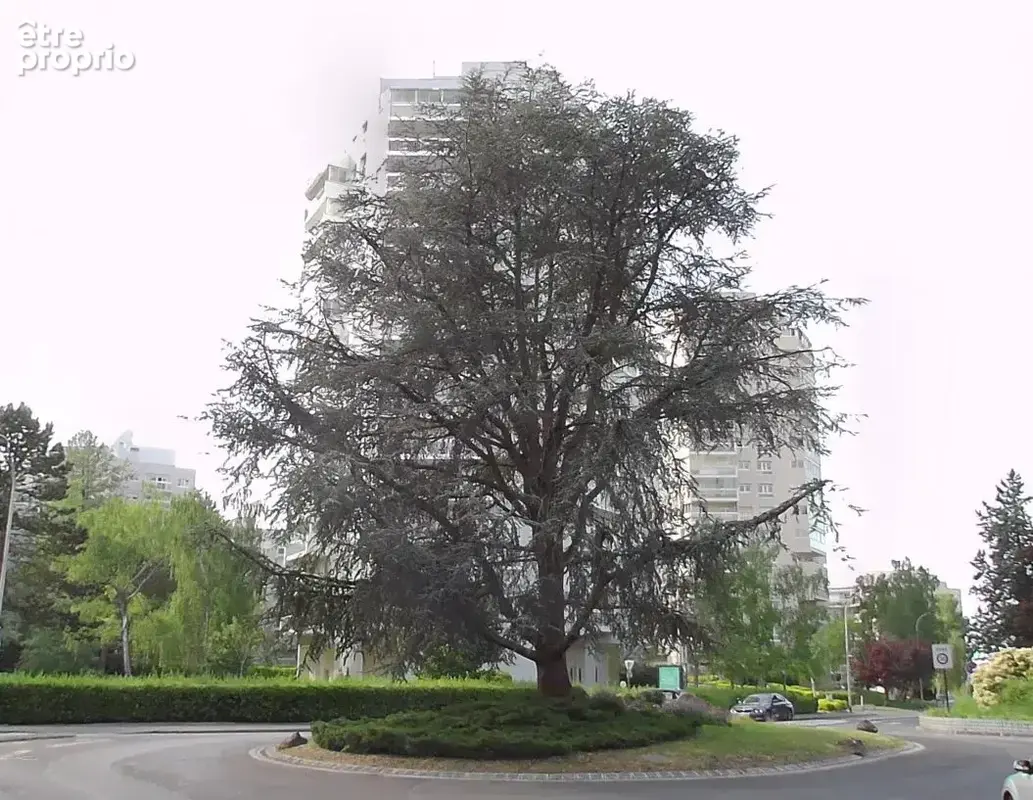 Parking à MARLY-LE-ROI