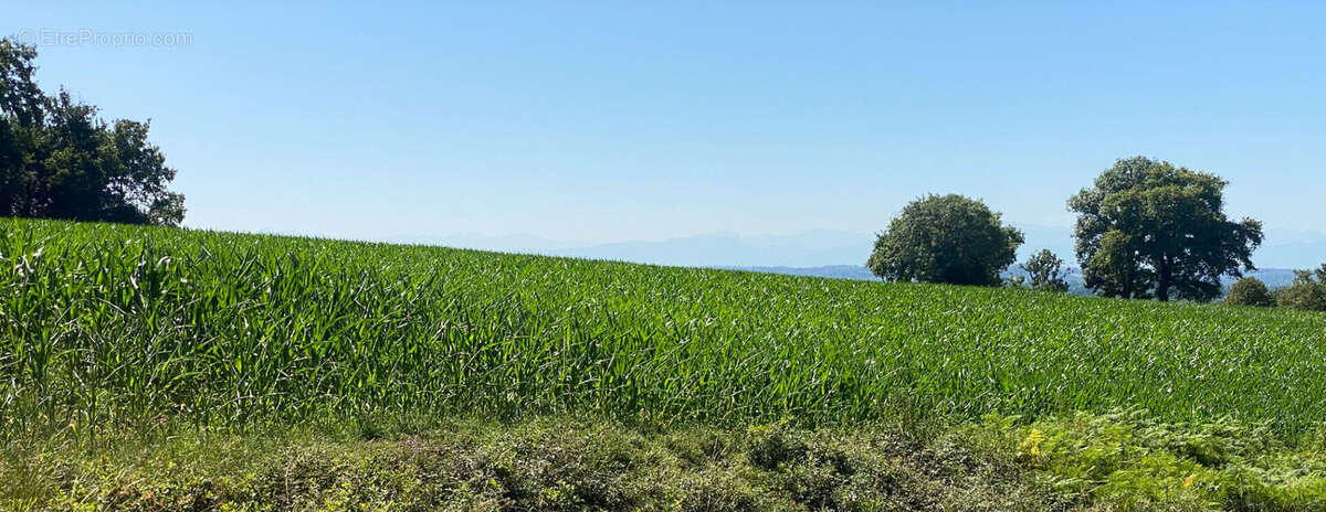 Terrain 2197m2 - photo 2