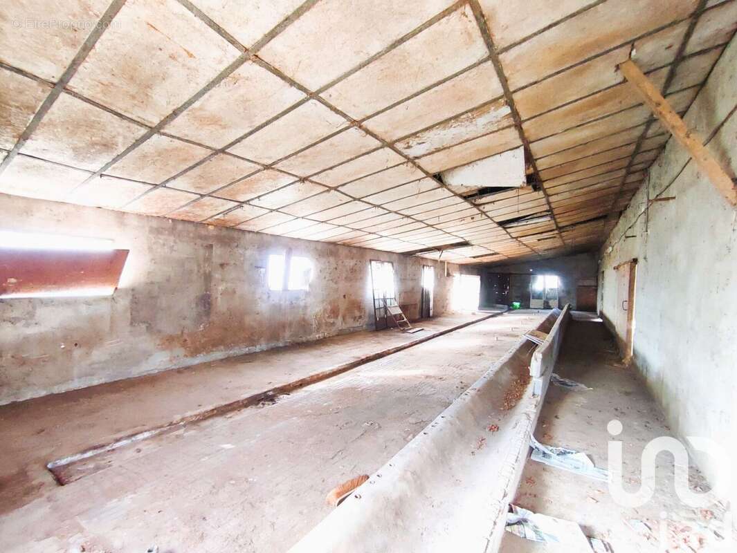 Photo 7 - Terrain à NEGREPELISSE