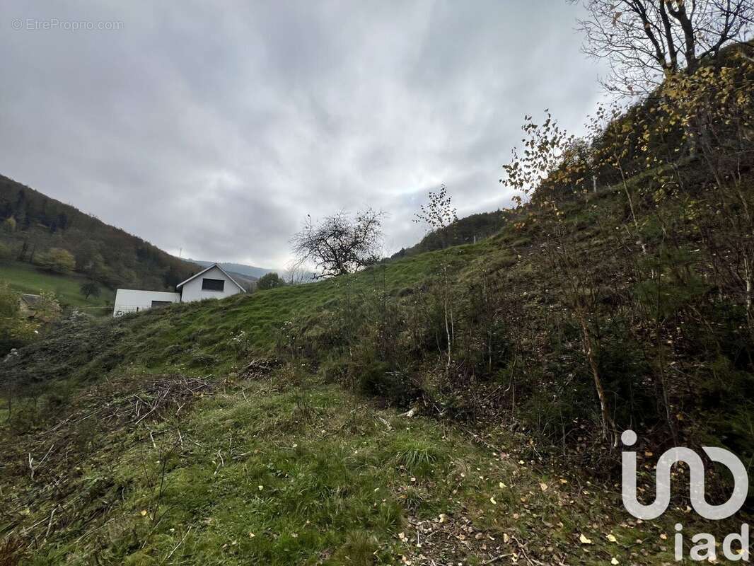 Photo 6 - Terrain à SAINTE-MARIE-AUX-MINES