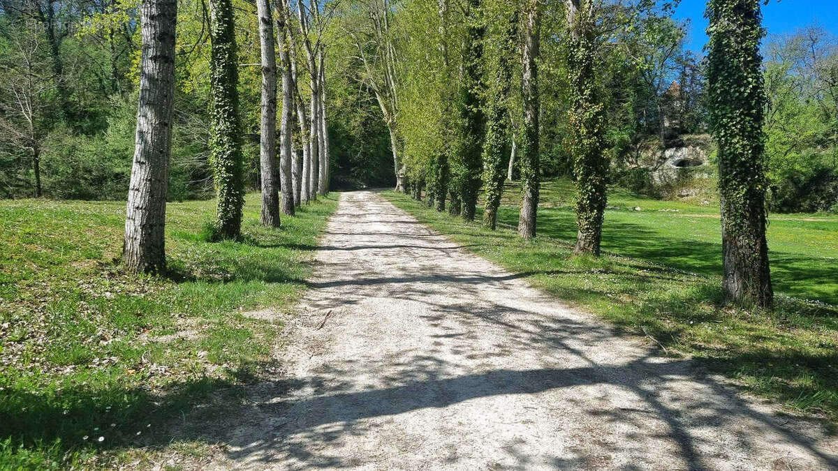 Très beau château datant du XVI ème entièrement rénové au milieu de 50 hectares et ses trois lacs situé dans l - photo 79