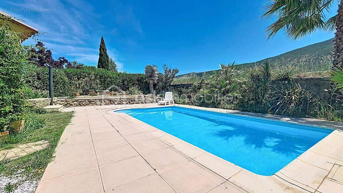 Villa 4 faces avec piscine et vue sur le Canigou - photo 4
