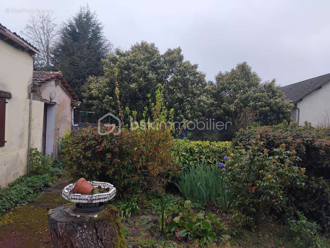 Le charme de l'ancien a réinventé à Olivet - photo 2