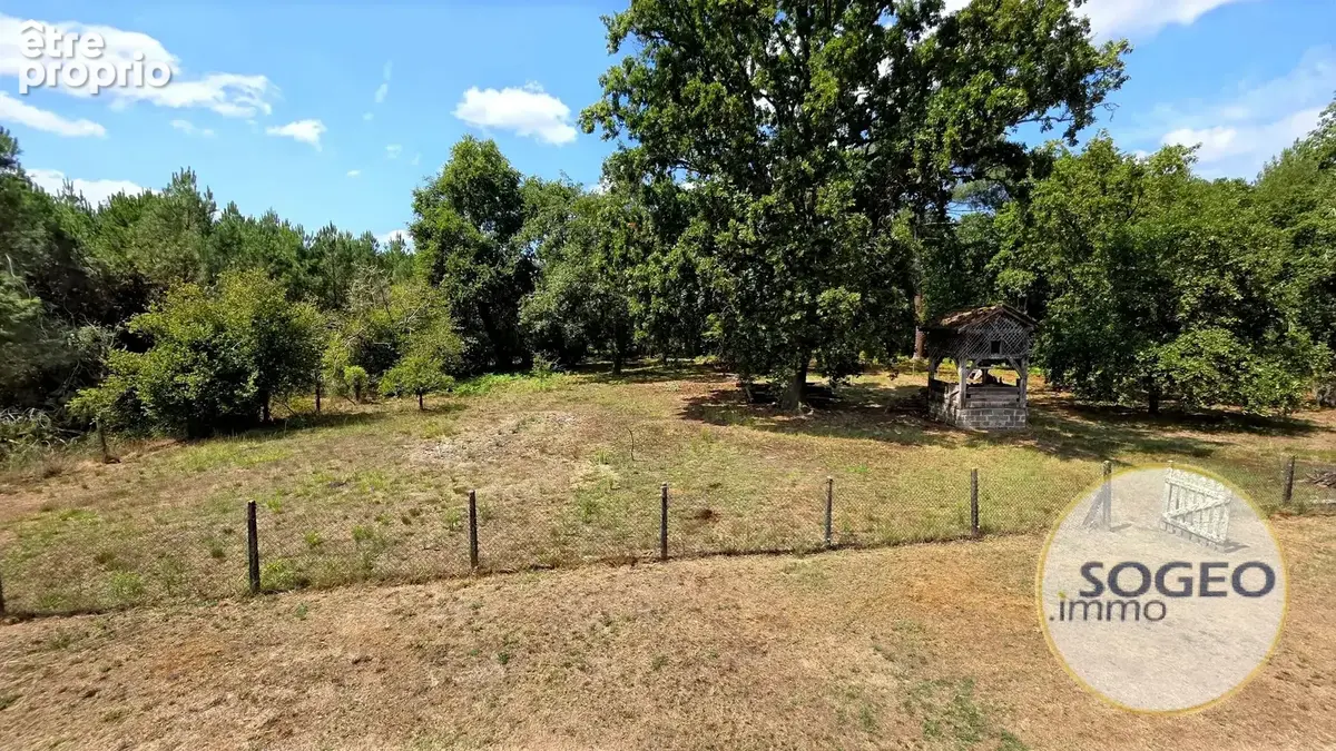 Maison landaise à colombages – Grand airial de plus de 8 000 m² et nombreuses dépendances - photo 9