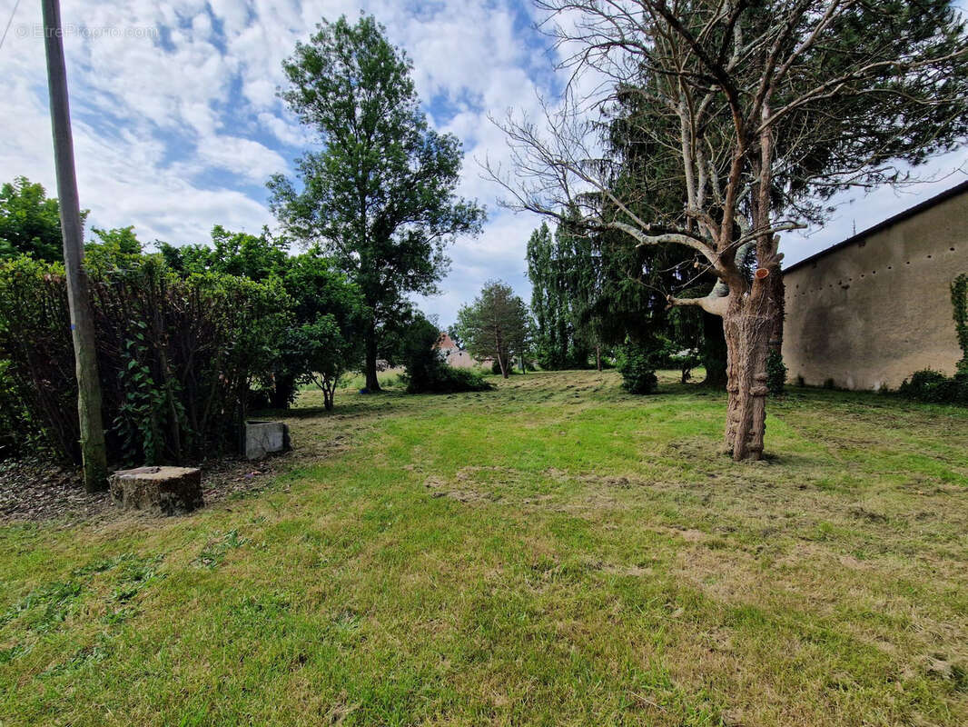 Terrain à SAINT-CIERS-SUR-GIRONDE