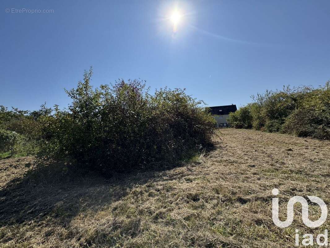 Photo 2 - Terrain à AMBOISE