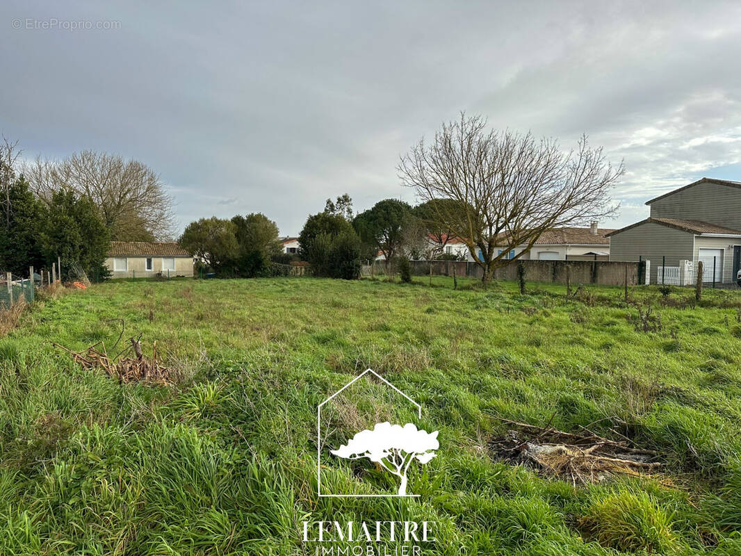 Terrain à LA TREMBLADE