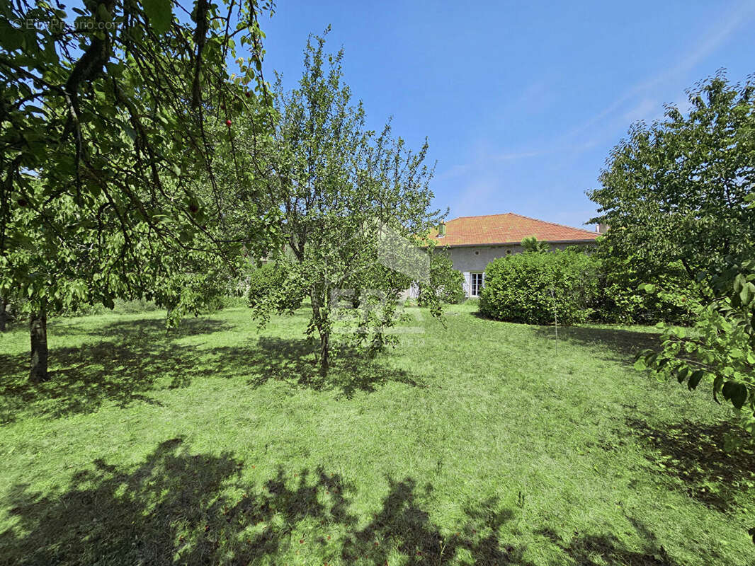 Maison 246m² à belpech - photo 14