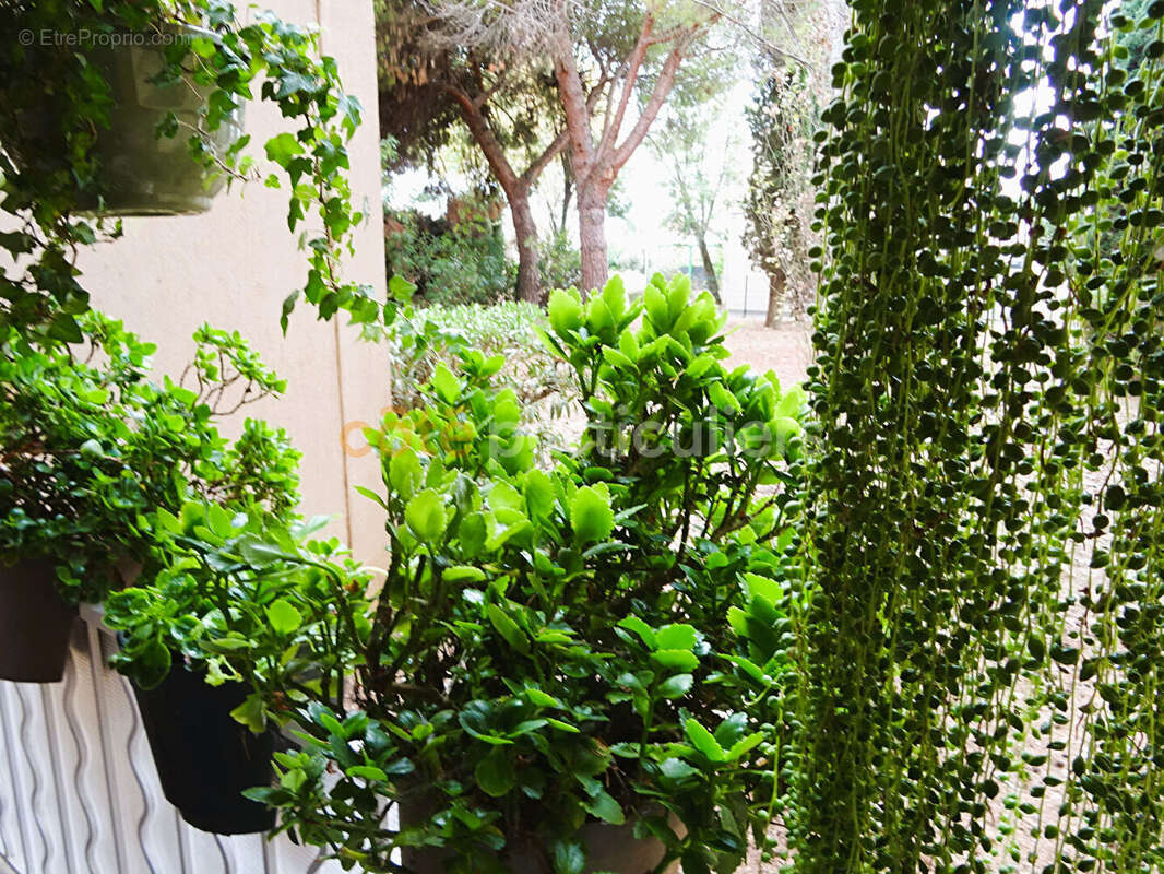 Appartement à LATTES