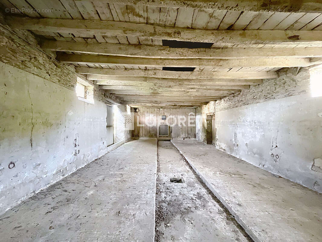 Maison à SIXT-SUR-AFF