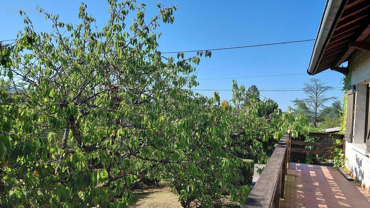 Photo 4 - Maison à CHARLIEU