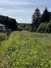 Terrain à SAINT-CYR-AU-MONT-D&#039;OR