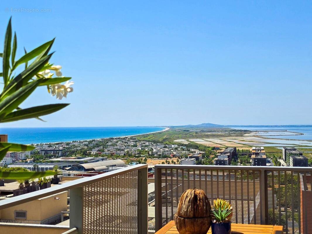 Photo Appartement à Sete au prix de 375 000€