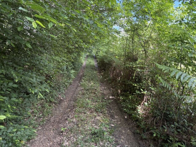 Proche Saint Yrieix La Perche - photo 7